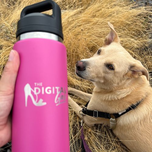 Small Dog with a Digital Gal bottle